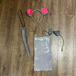 NWOTs mouse costume